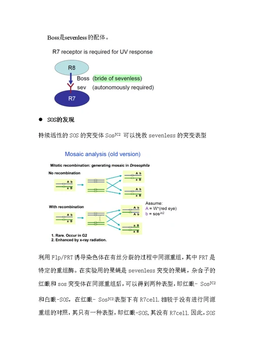 细胞生物学复习资料-General Mechanisms of Signal Transduction II