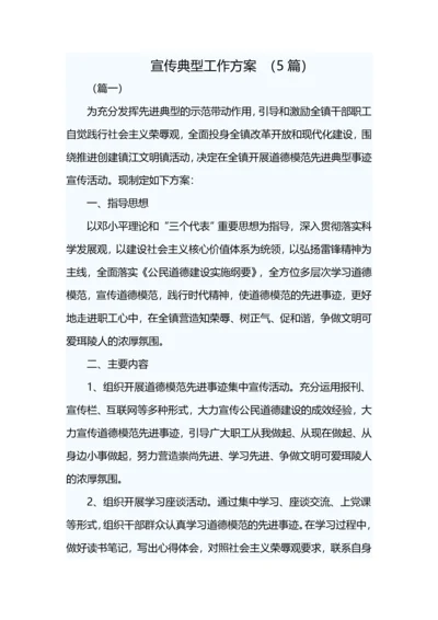 宣传典型工作方案-(5篇).docx