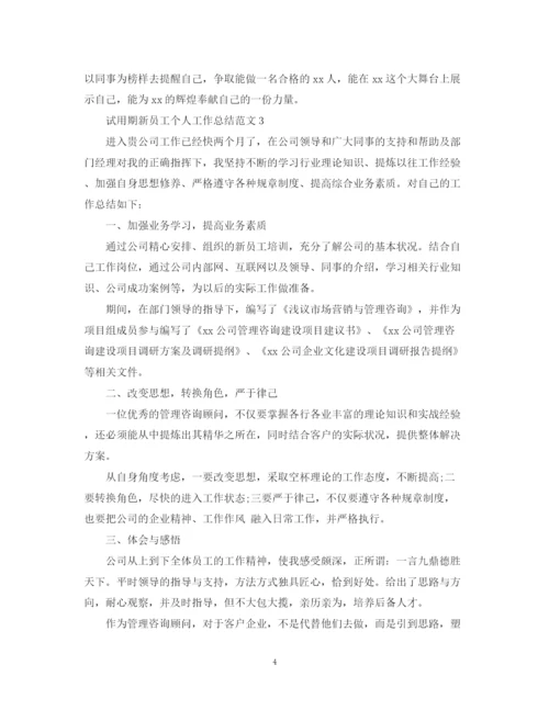 精编之试用期新员工个人工作总结范文.docx