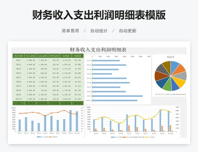 财务收入支出利润明细表模版