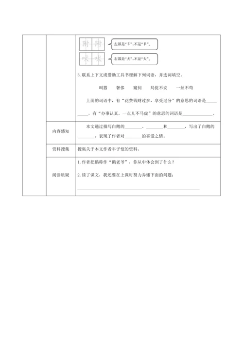 15《白鹅》（创新教案+课堂活动卡+课前预学案）