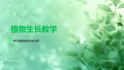 植物生长教学