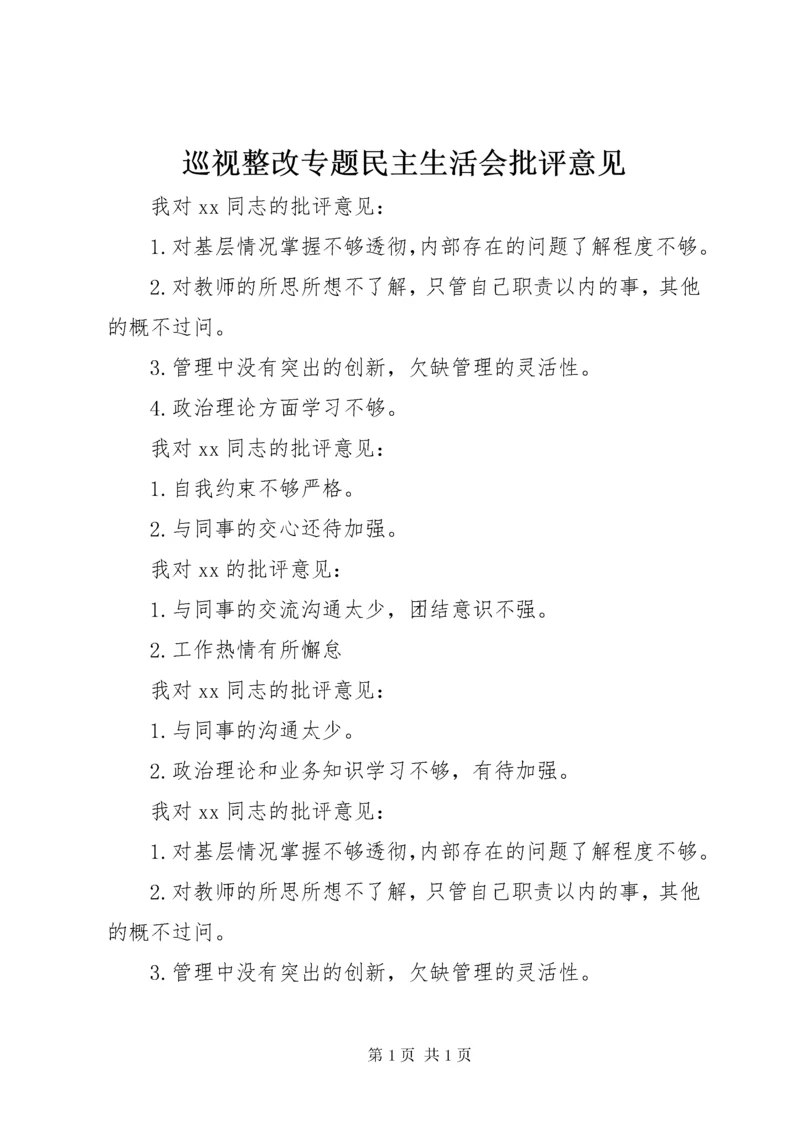 巡视整改专题民主生活会批评意见.docx