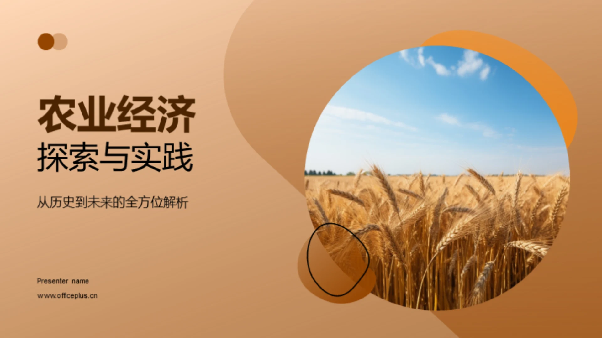 农业经济探索与实践