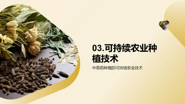 绿色农业：中草药种植新视角