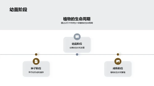 探秘植物成长之旅