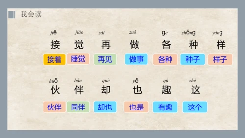 第3课《一个接一个》第一课时   课件