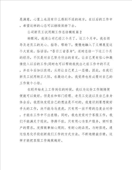 公司新员工试用期工作总结模板工作总结范文