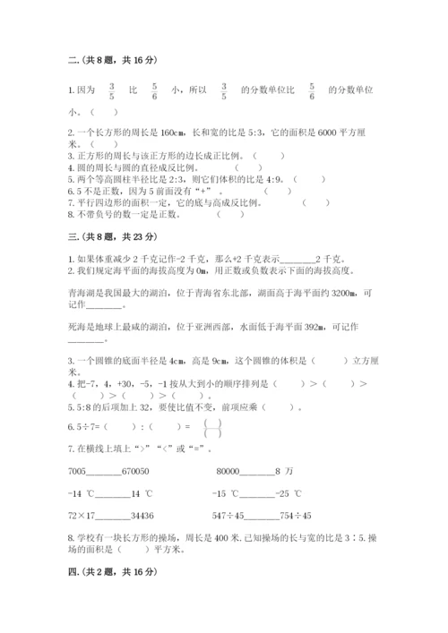 苏教版六年级数学小升初试卷【网校专用】.docx