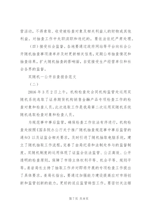 双随机一公开自查报告范文某年.docx