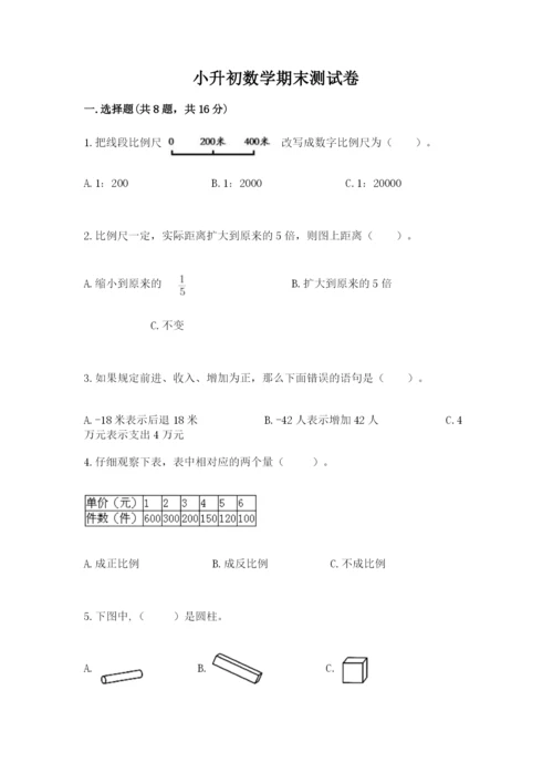 小升初数学期末测试卷完美版.docx