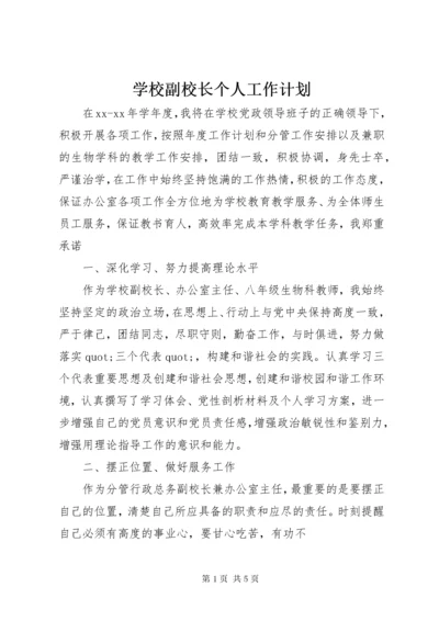 学校副校长个人工作计划.docx