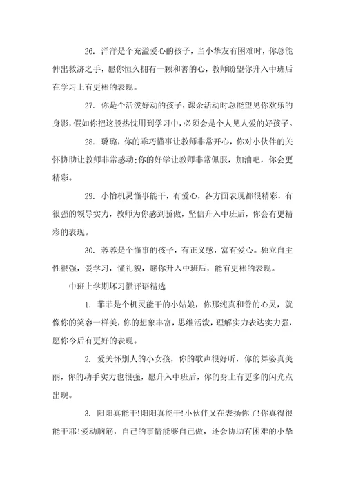 中班上学期坏习惯评语