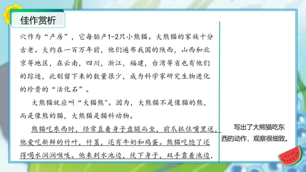 统编版三年级语文下册单元作文能力提升第七单元习作：国宝大熊猫（教学课件）