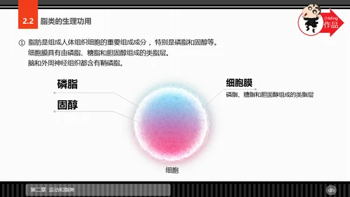 运动营养学通用PPT模板