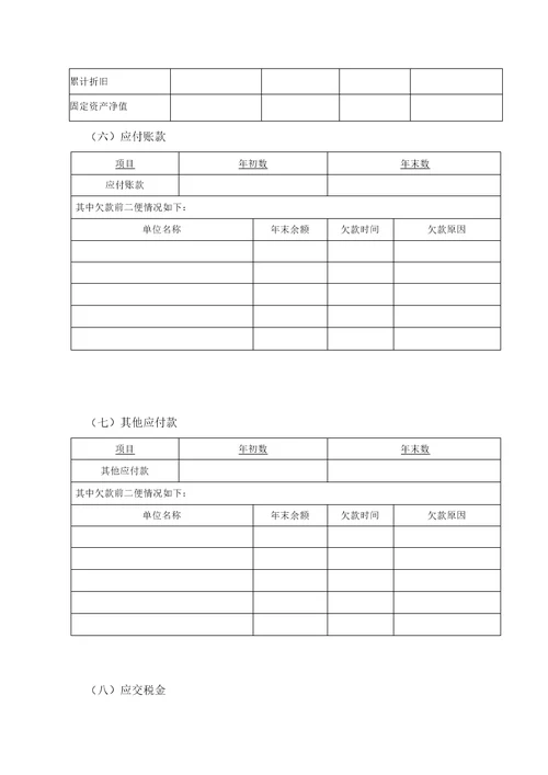 财务报表附注模板