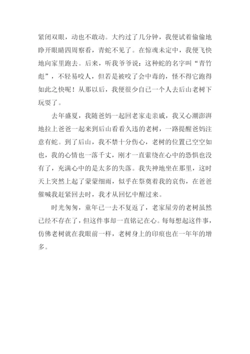 幼时记趣作文.docx
