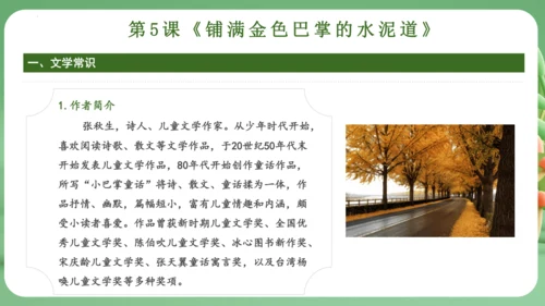 统编版2024三年级语文上册第二单元复习   课件