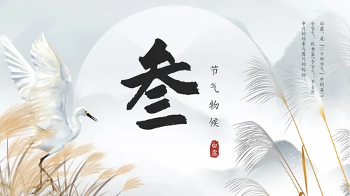 白露白鹤通用PPT模板