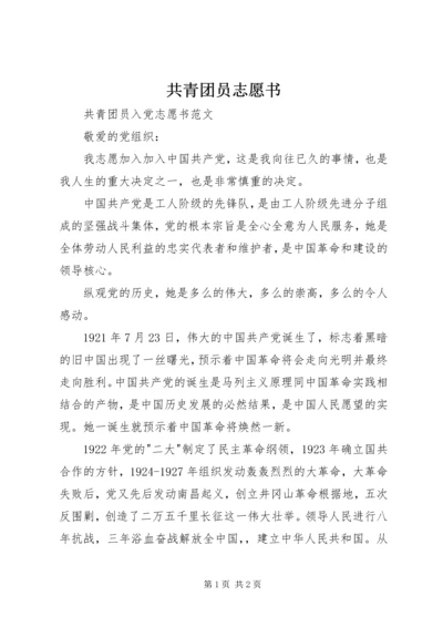 共青团员志愿书 (2).docx