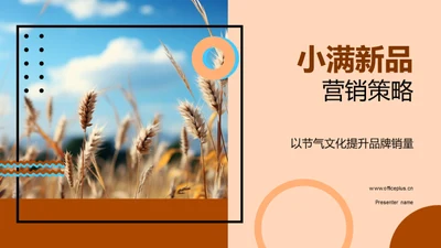 小满新品营销策略