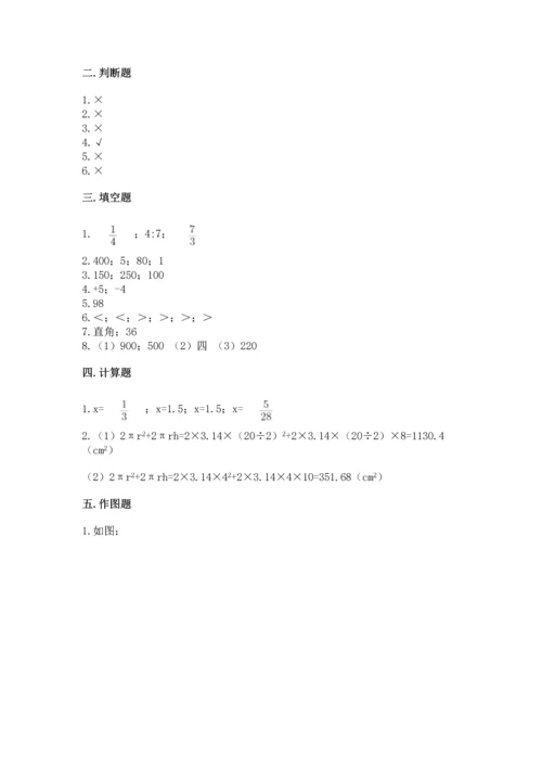 北师大版六年级下册数学期末测试卷【典优】.docx