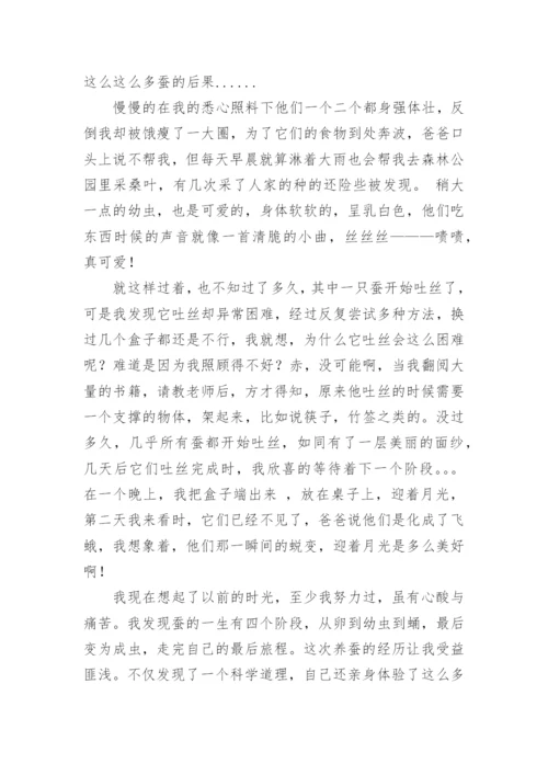 科技小论文（精华）.docx