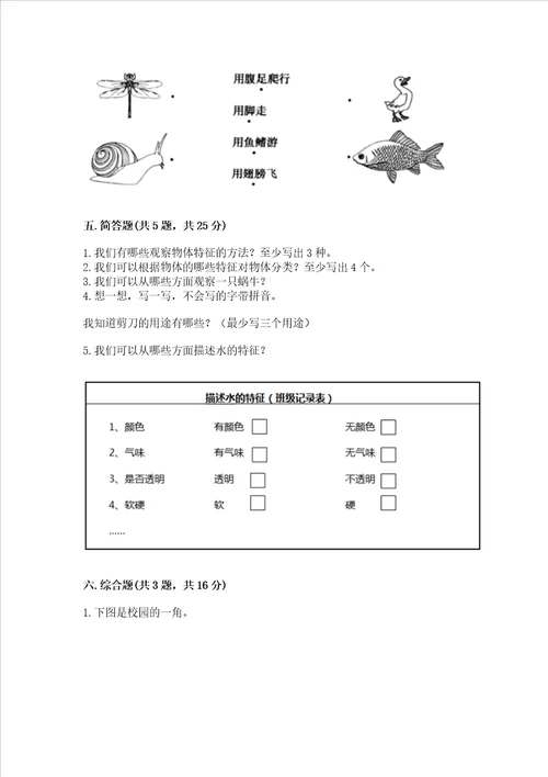 教科版一年级下册科学期末测试卷b卷word版