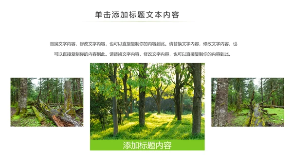 绿色环保森林湿地环境保护生态森林业PPT模板