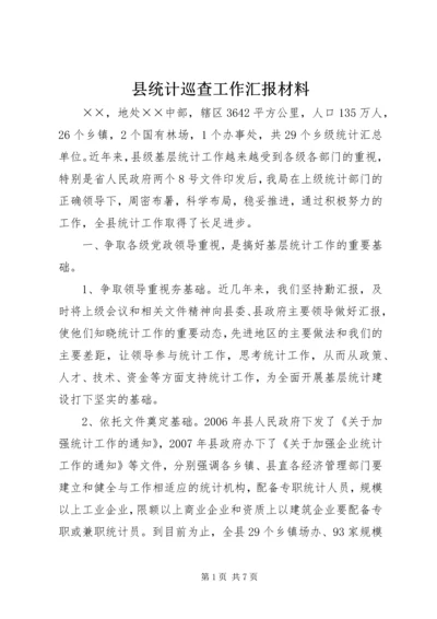 县统计巡查工作汇报材料.docx