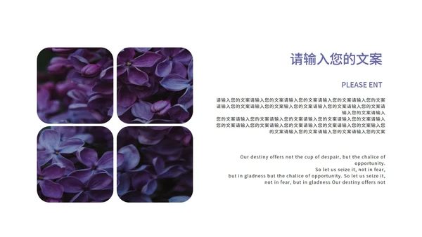 紫色小清新文艺教学教育PPT模板