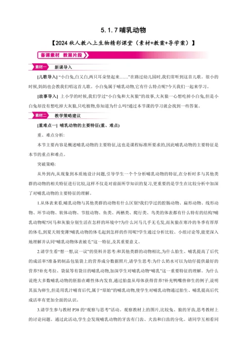 5.1.7哺乳动物【2024秋人教八上生物精彩课堂（素材+教案+导学案）】
