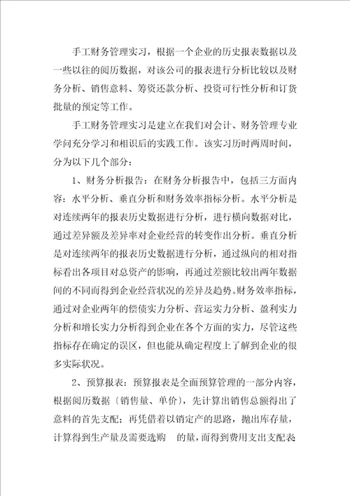 2023年件技术服务公司财务实习报告