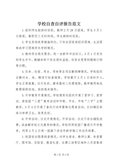 学校自查自评报告范文.docx