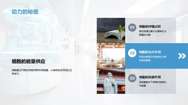 生命之源：细胞揭秘