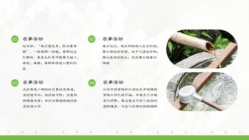 春分春天的白花通用PPT模板