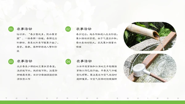 春分春天的白花通用PPT模板