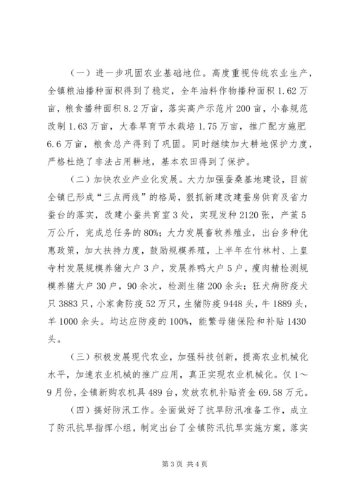 乡镇政府某年下半年工作总结及年末工作计划.docx