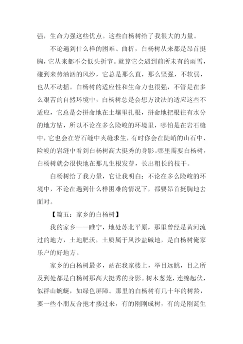 白杨树作文400字.docx