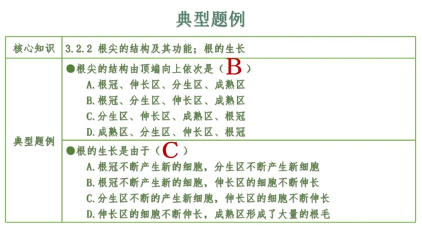 第三单元 植物的生活（单元复习课件）2023-2024学年七年级生物上册同步精品课件（人教版）(共3