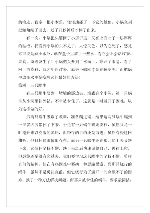 描写观察蜗牛的作文300字