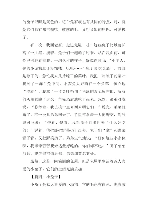 小兔子的作文.docx