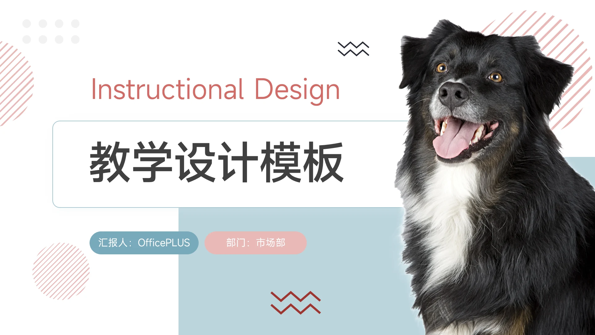 红蓝简约宠物行业教学设计模板PPT模板