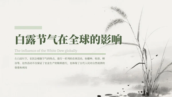 绿色中国风白露节气主题班会PPT模板
