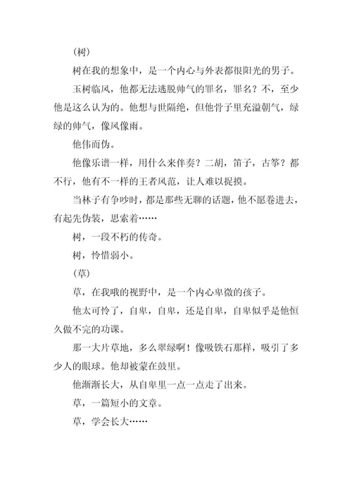 2023年关注自然作文3000字4篇