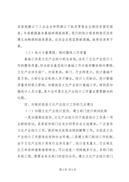 县文化产业统计工作情况汇报.docx