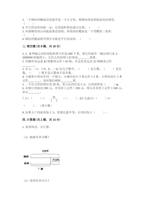 盘龙区六年级下册数学期末测试卷及一套完整答案.docx