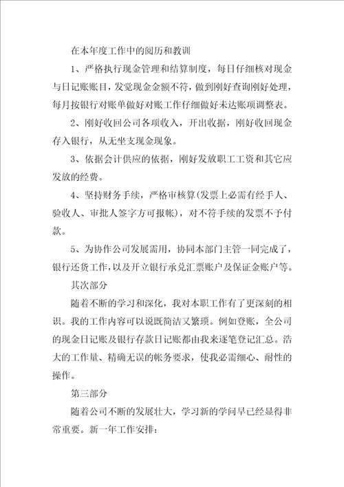 公司出纳年终工作总结范文