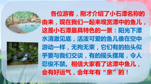 10《小石潭记》课件