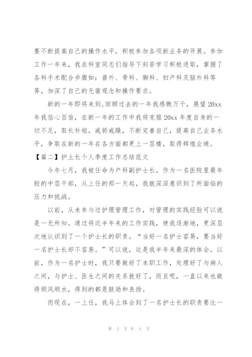 护土长个人季度工作总结范文.docx